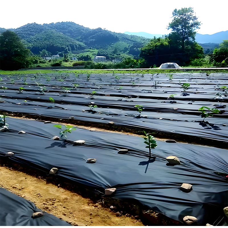 Садовое черное антисорняковое полотно (1)