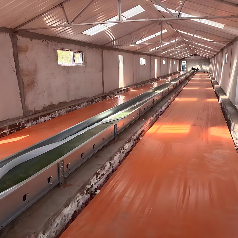 Транспортёрная лента для удаления навоза в животноводстве из ПВХ (1)